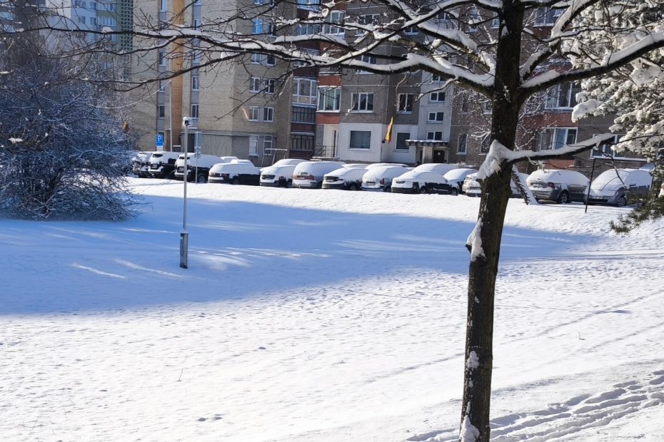 Sinoptikai: dieną vietomis pasnigs