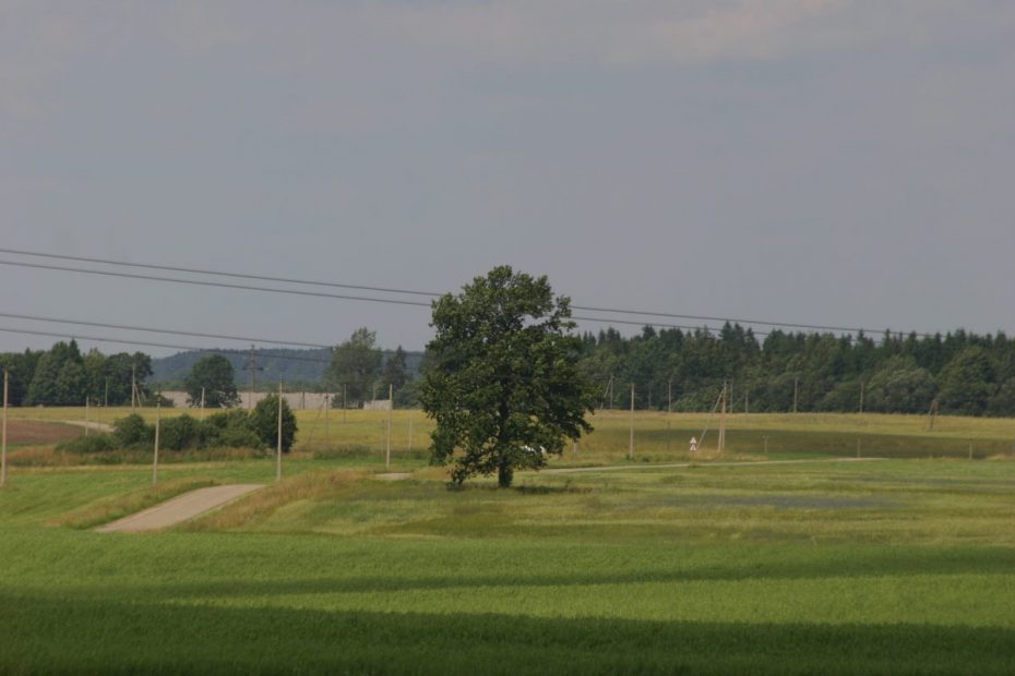 Laukus tręšiantiems tik mėšlu ir (ar) srutomis tręšimo planų nereikia