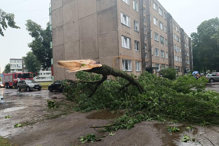 ESO pradeda mokėti kompensacijas už pernykštės audros nuostolius