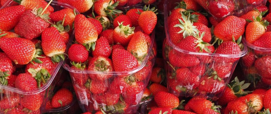 Kaip ilgiau išlaikyti uogas šviežias ir kvapnias: tinkamų indelių svarba