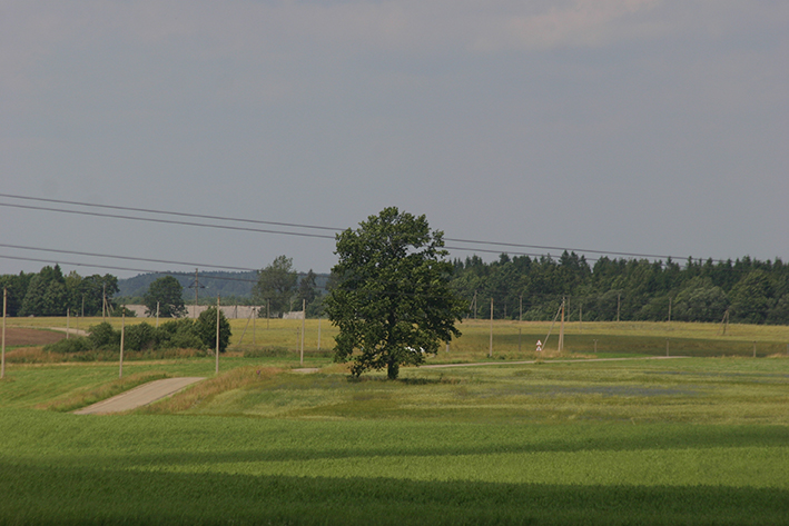Laukus tręšiantiems tik mėšlu ir (ar) srutomis tręšimo planų nereikia