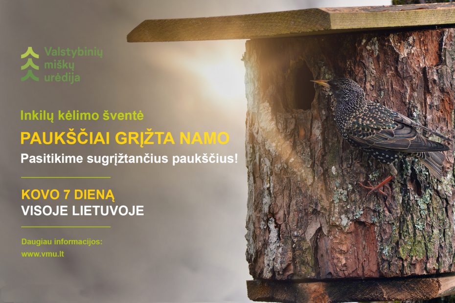 „Paukščiai grįžta namo“ – miškininkai kviečia visoje Lietuvoje iškelti daugiau nei 8 tūkstančius inkilų