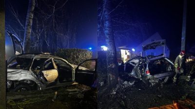 Avarija Alytaus rajone: BMW rėžėsi į stulpą ir medį