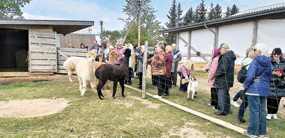 Išvyka į Tuomų ūkį