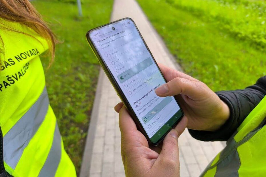 Medžių alėjos – ne tik grožiui: Lietuva ir Latvija pradeda tarptautinį projektą jų išsaugojimui