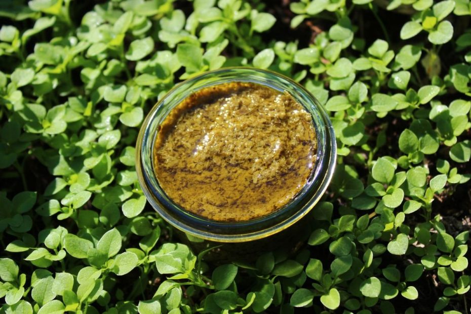 Žliūgės pesto: nuo klasikinio recepto iki kūrybiškų variacijų