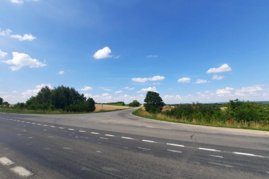 Pakelės krūmynai užstoja matomumą