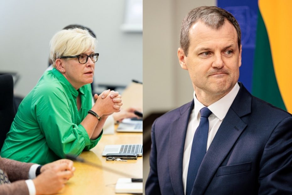 I. Šimonytė žada dalyvauti rugsėjį vyksiančiame proteste prieš G. Palucką