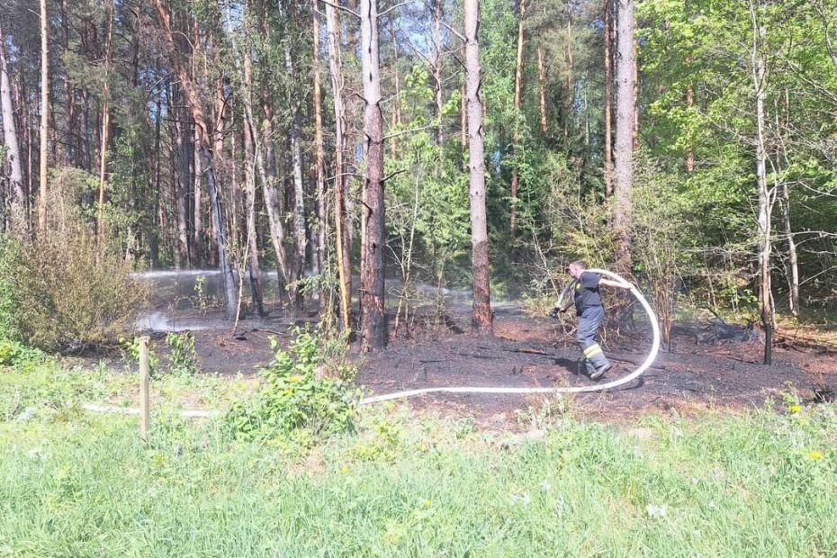 Sekmadienio pavakarę rajone degė miškas