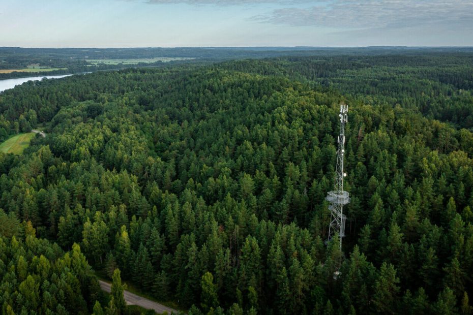 Miške senka telefono baterija? Patarė
