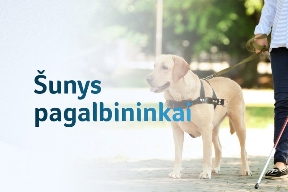 Šunys pagalbininkai teiks pagalbą žmonėms su negalia