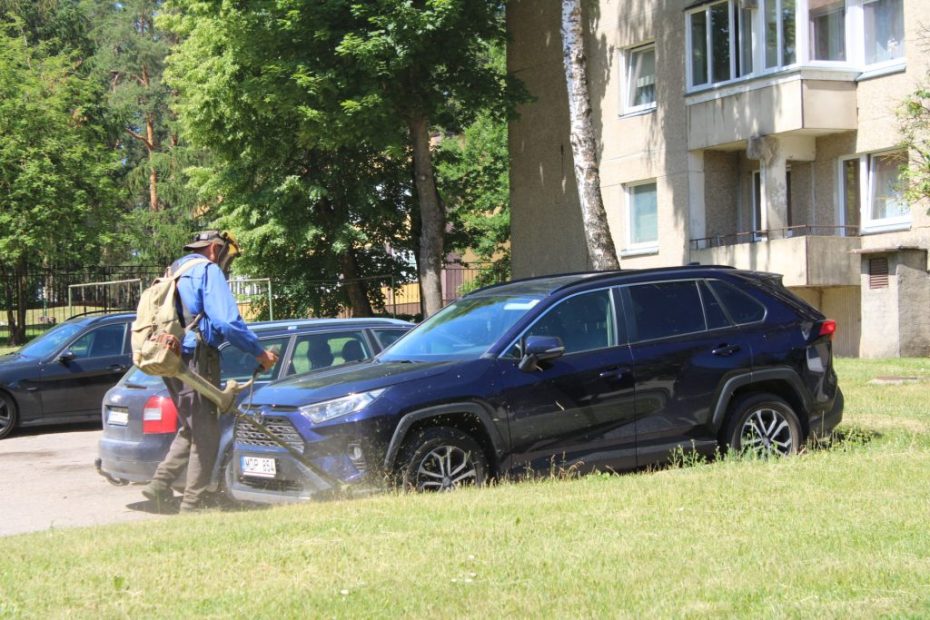 „Utenos komunalininko“ vadovas: „Jei vieniems trukdo ežere augančios nendrės