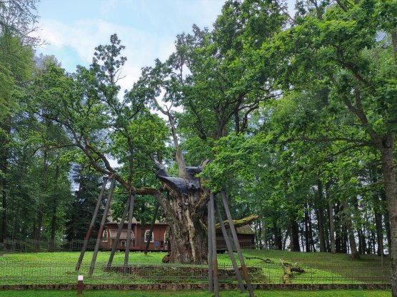 STELMUŽĖS DVARO PASLAPTYS: ARCHEOLOGAI ATVĖRĖ NAUJŲ ISTORIJOS KLODŲ