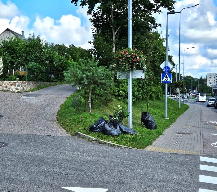 Žaliosiomis atliekomis gyventojai turi pasirūpinti patys