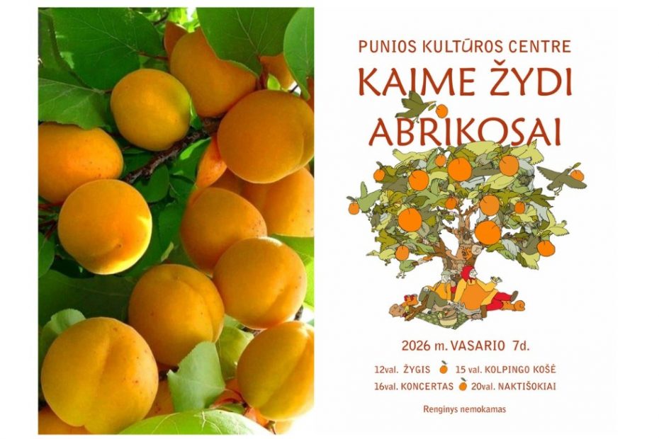 Vasario 7 d. į Punią kviečia festivalis „Kaime žydi abrikosai”